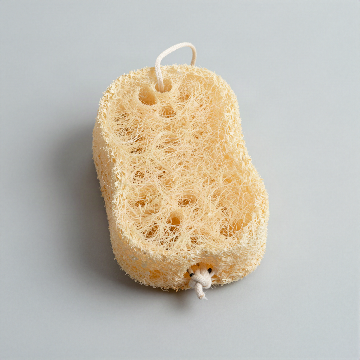 Natural Loofah Sponge